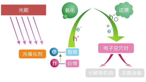 PG齫ˣйٷվ
