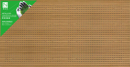 PG齫ˣйٷվ