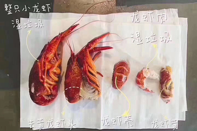 PG齫ˣйٷվ